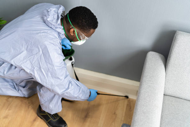 Best Residential Pest Control  in Bergenfield, NJ